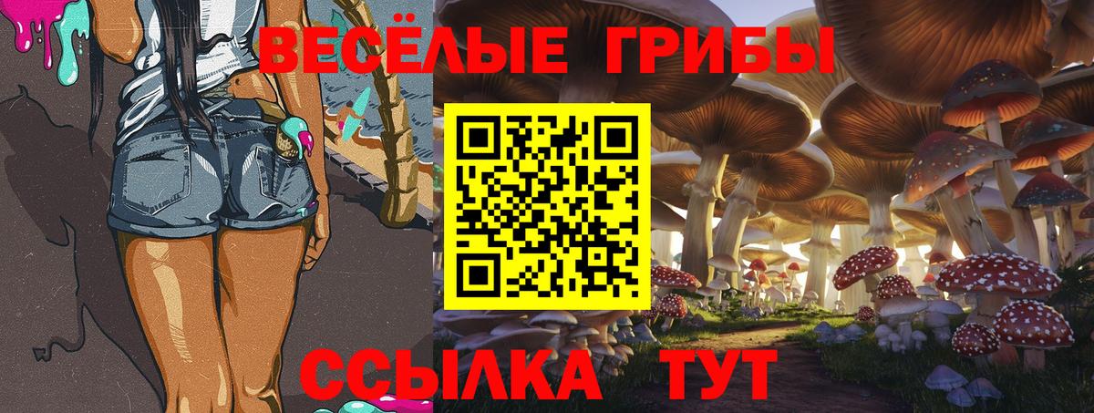 Псилоцибиновые грибы мухоморы Электрогорск
